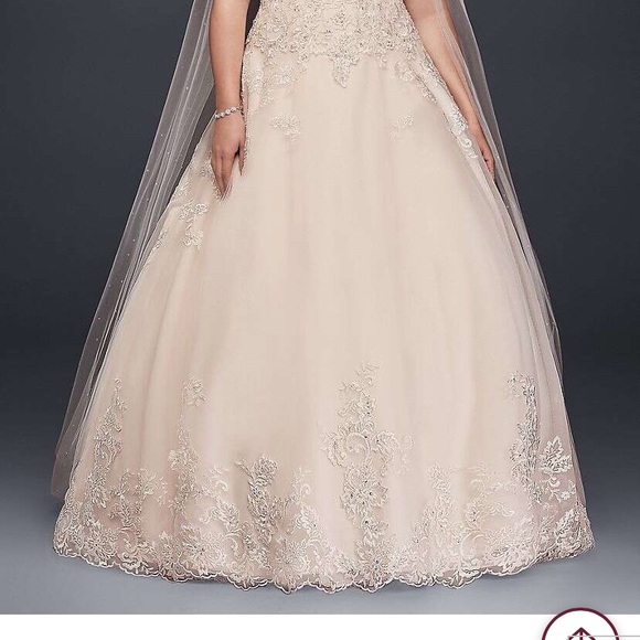 Rose Gold Wedding Dress - Picture 5 of 5